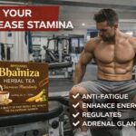 WhatsApp Image 2026-02-25 at 15.22.20